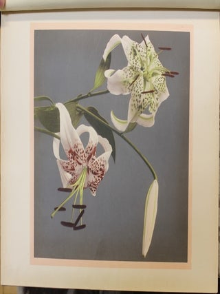 Japan, Described and Illustrated by the Japanese, Written By Eminent Japanese Authorities and Scholars.