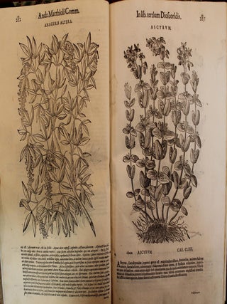 Commentarii in libros sex Pedacii Dioscoridis Anazarbei de medica materia...