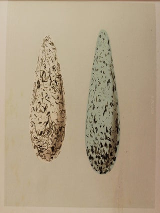 A Natural History of the Nests and Eggs of British Birds.