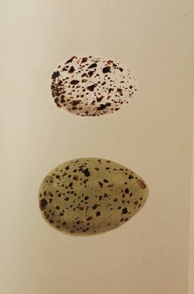 A Natural History of the Nests and Eggs of British Birds.