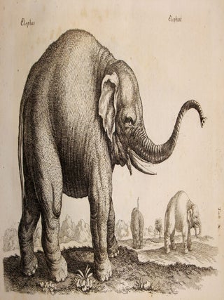 Theatrum Universale Omnium Animalium Quadrupedum Abulis Octoginta ab Illo Celeberrimo Mathia Meriano Aeri Incisis Ornatum Ex Scriptoribus Tam Antiqus, Quam Recentioribus, Theophrasto, Dioscoride, Aeliano, Oppiano, Plinio, Gesnero, Aldrovando, Wottonio, Turnero, Mouffeto, Agricola Boetio, Baccio, Ruveo Schonfeldio, Freggio, Mathiolo, Tabernamontano, Bauhino, Ximene, Bustamantio, Rondeletio, Bellonio Citesio, Theueto, Marggravio, Pisone et Aliis Maxima Cura Collectum et ob Raritatem Denuo Inprimendum Suscepit.