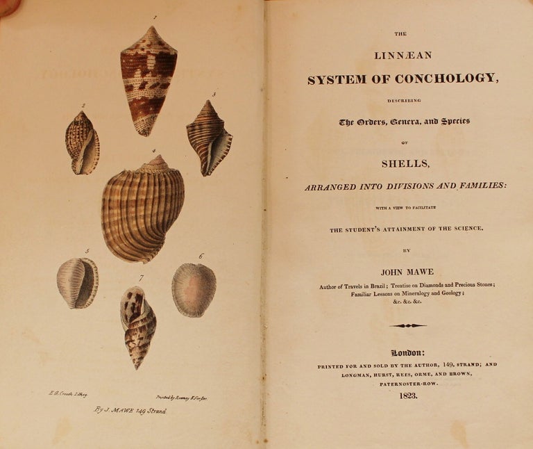Item #B3677 The Linnaean System of Conchology, Describing The Orders, Genera, and Species of Shells, Arranged into Divisions and Families: With a View to Facilitate the Student s Attainment of the Science. By John Mawe Author of Travels in Brazil; Treatise on Diamonds and Precious Stones; Familiar Lessons on Mineralogy and Geology; &c. &c. &c. John Mawe.
