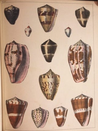 Item #B4741 A History of the Earth and Animated Nature. With An Introductory View of the Animal...