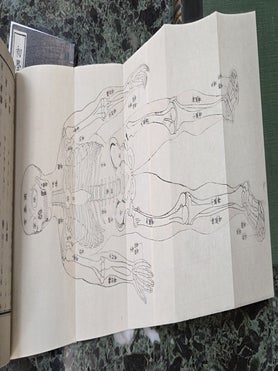 Study of Anatomy