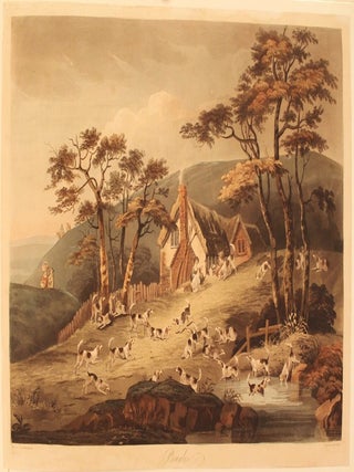 Beagles, Fox Hounds, Harriers and Stag Hounds
