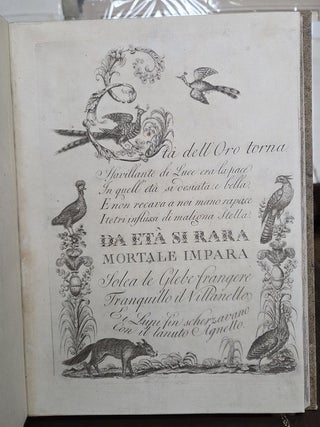 Alfabeto di lettere iniziali adorno di animali e proseguito da vaga serie di caratteri