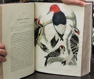 American Ornithology, or, The Natural History of the Birds of the United States.
