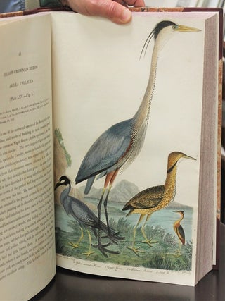 American Ornithology, or, The Natural History of the Birds of the United States.