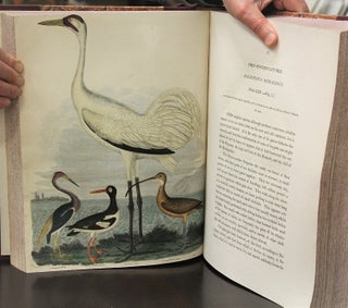 American Ornithology, or, The Natural History of the Birds of the United States.