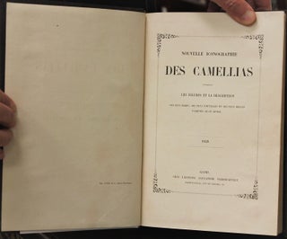 Nouvelle Iconographie Des Camellias Contenant Les Figures et la Description…