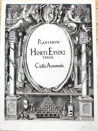 Hortus Eystettensis, Sive Diligens et accurata omnium Plantarum, Florum, Stirpium, ex variis orbis terræ partibus, singulari studio collectarum quæ in celeberrimis viridariis arcem episcopalem ibidem cingentibus, hoc tempore conspiciuntus delineatio et ad vivum repræsentatio Operâ Basilii Besleri Philiatri et pharmacopoei. M.D C.XIII
