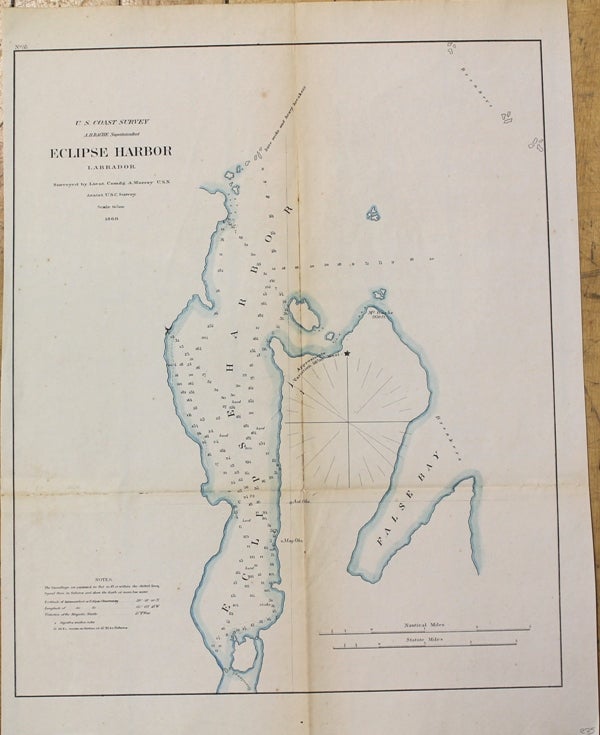 Item #M1175 Eclipse Harbor Labrador. A. Murray, A D. Bache.