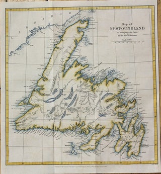 Item #M5957 Map of Newfoundland. Edward Weller, Revd. J. Moreton