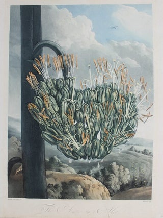Item #P1081 The American Aloe. Reinagle