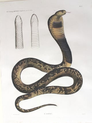 Item #P2246 H.N. Zoologie. Reptiles (Supplement) / L'aspic. J.-Ces. Savigny