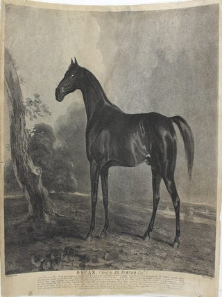 Item #P4036 Oscar. (bred by Ex.Turnor Esqr.). Marshall