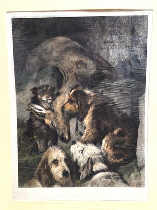 Item #P5490 Roebuck And Rough Hounds. From the Picture on the Possession of John Sheepshanks Esq....